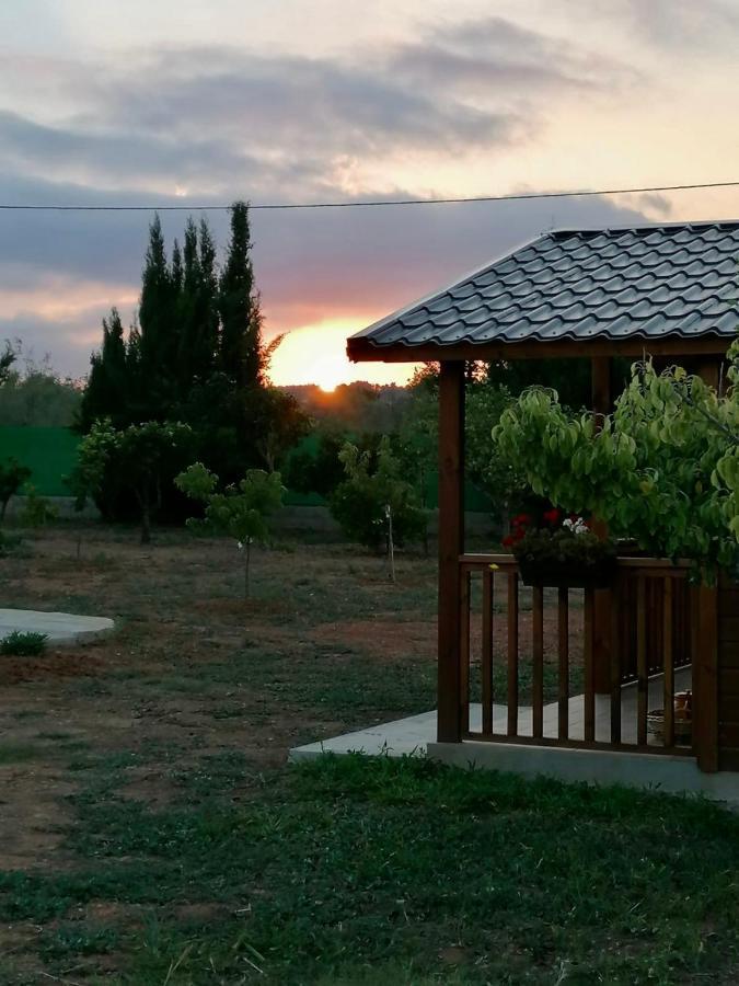 Bed and Breakfast Casa Dominaty Calig Экстерьер фото